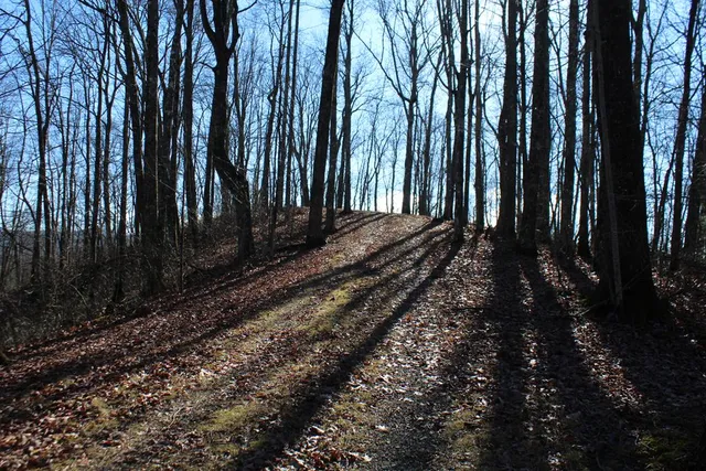 $370,000 | Tract B Tract B Highland Cove, Hayesville, NC 28904