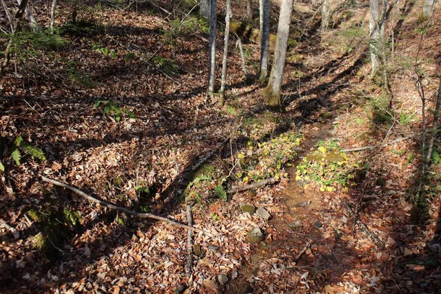 $370,000 | Tract B Tract B Highland Cove, Hayesville, NC 28904