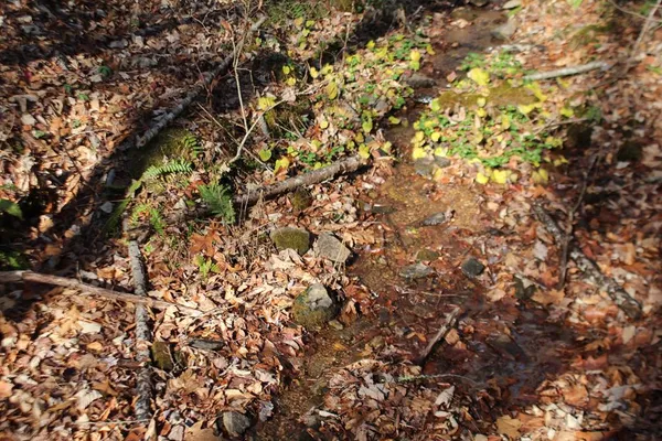 $370,000 | Tract B Tract B Highland Cove, Hayesville, NC 28904