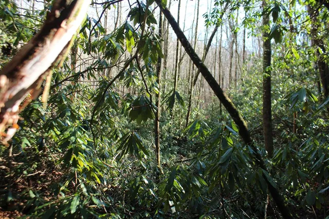 $370,000 | Tract B Tract B Highland Cove, Hayesville, NC 28904