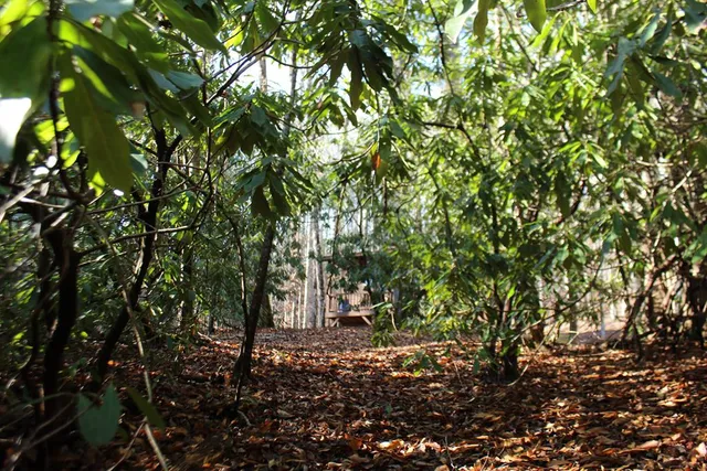 $370,000 | Tract B Tract B Highland Cove, Hayesville, NC 28904