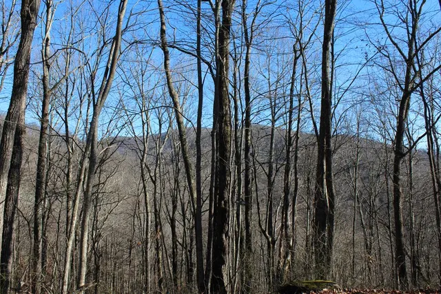 $370,000 | Tract B Tract B Highland Cove, Hayesville, NC 28904