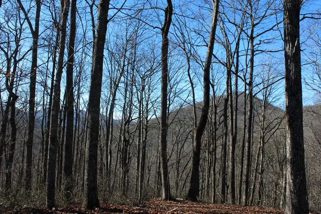 $370,000 | Tract B Tract B Highland Cove, Hayesville, NC 28904
