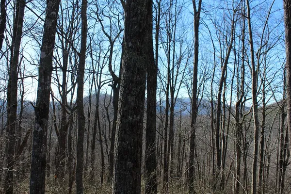 $370,000 | Tract B Tract B Highland Cove, Hayesville, NC 28904