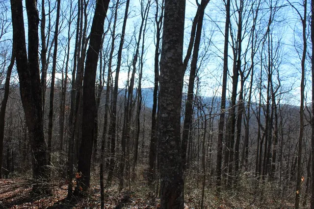 $370,000 | Tract B Tract B Highland Cove, Hayesville, NC 28904