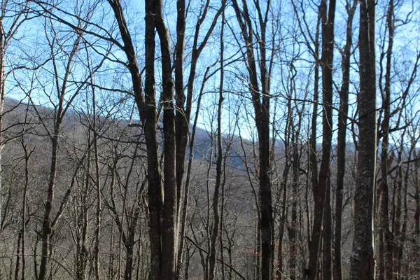 $370,000 | Tract B Tract B Highland Cove, Hayesville, NC 28904