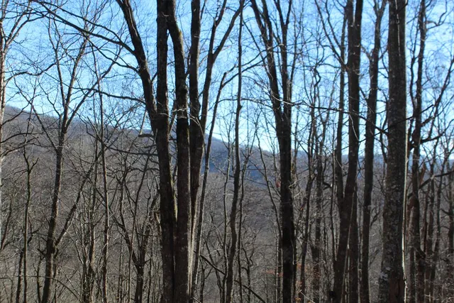 $370,000 | Tract B Tract B Highland Cove, Hayesville, NC 28904