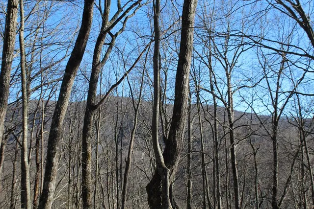 $370,000 | Tract B Tract B Highland Cove, Hayesville, NC 28904