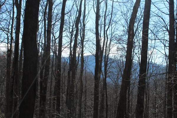 $370,000 | Tract B Tract B Highland Cove, Hayesville, NC 28904