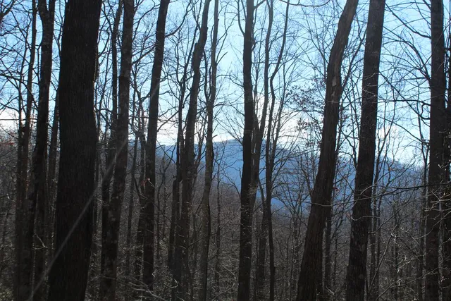 $370,000 | Tract B Tract B Highland Cove, Hayesville, NC 28904