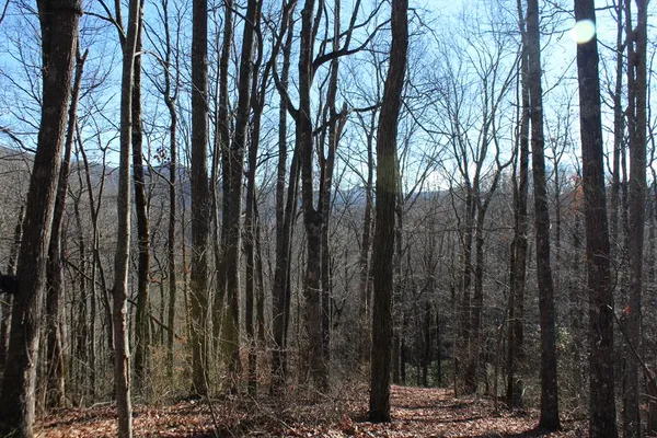 $370,000 | Tract B Tract B Highland Cove, Hayesville, NC 28904