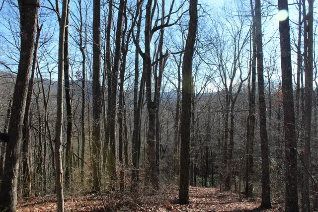 $370,000 | Tract B Tract B Highland Cove, Hayesville, NC 28904