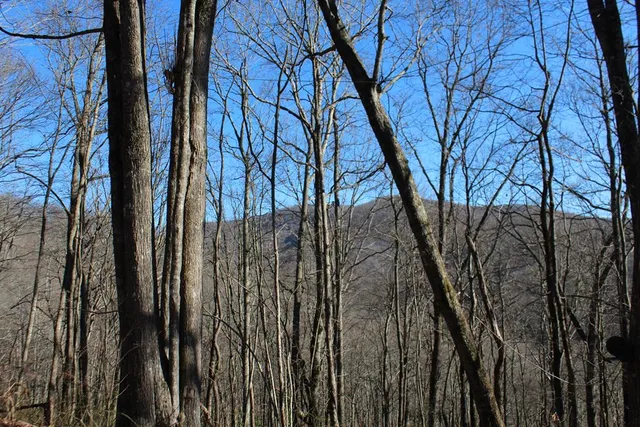 $370,000 | Tract B Tract B Highland Cove, Hayesville, NC 28904