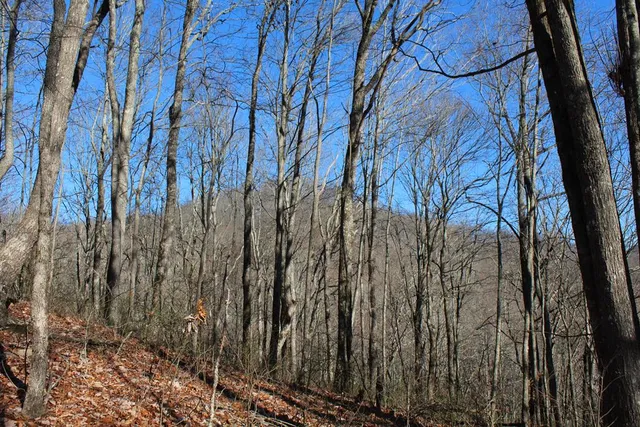 $370,000 | Tract B Tract B Highland Cove, Hayesville, NC 28904