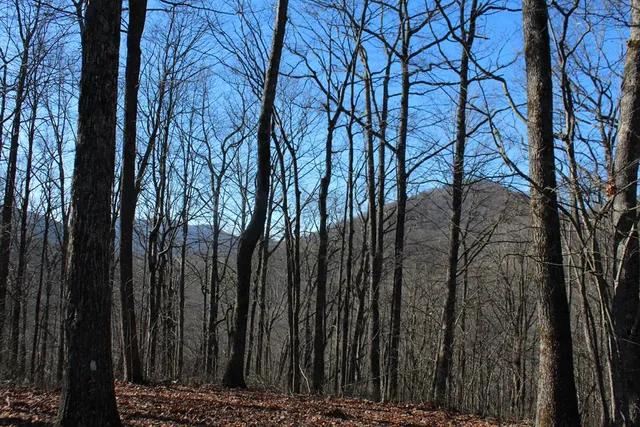 $370,000 | Tract B Tract B Highland Cove, Hayesville, NC 28904
