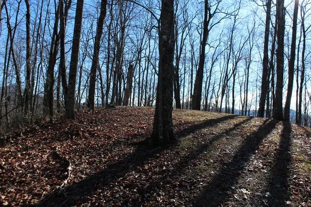 $370,000 | Tract B Tract B Highland Cove, Hayesville, NC 28904