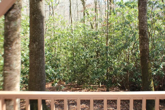 $370,000 | Tract B Tract B Highland Cove, Hayesville, NC 28904