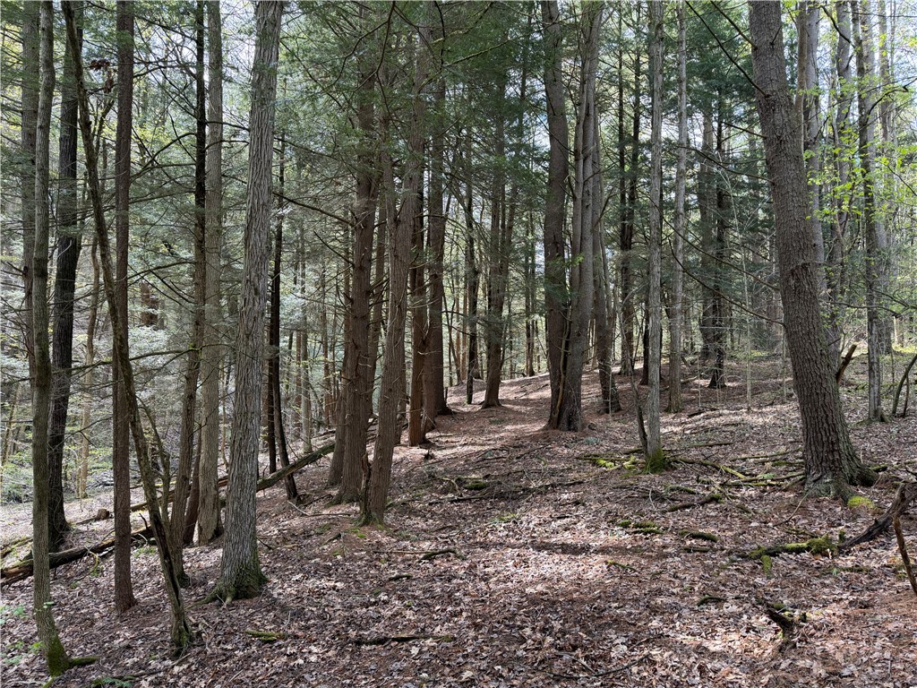 5373 Pig Tail Road Friendship, NY 14739 - Photo 45 of 50