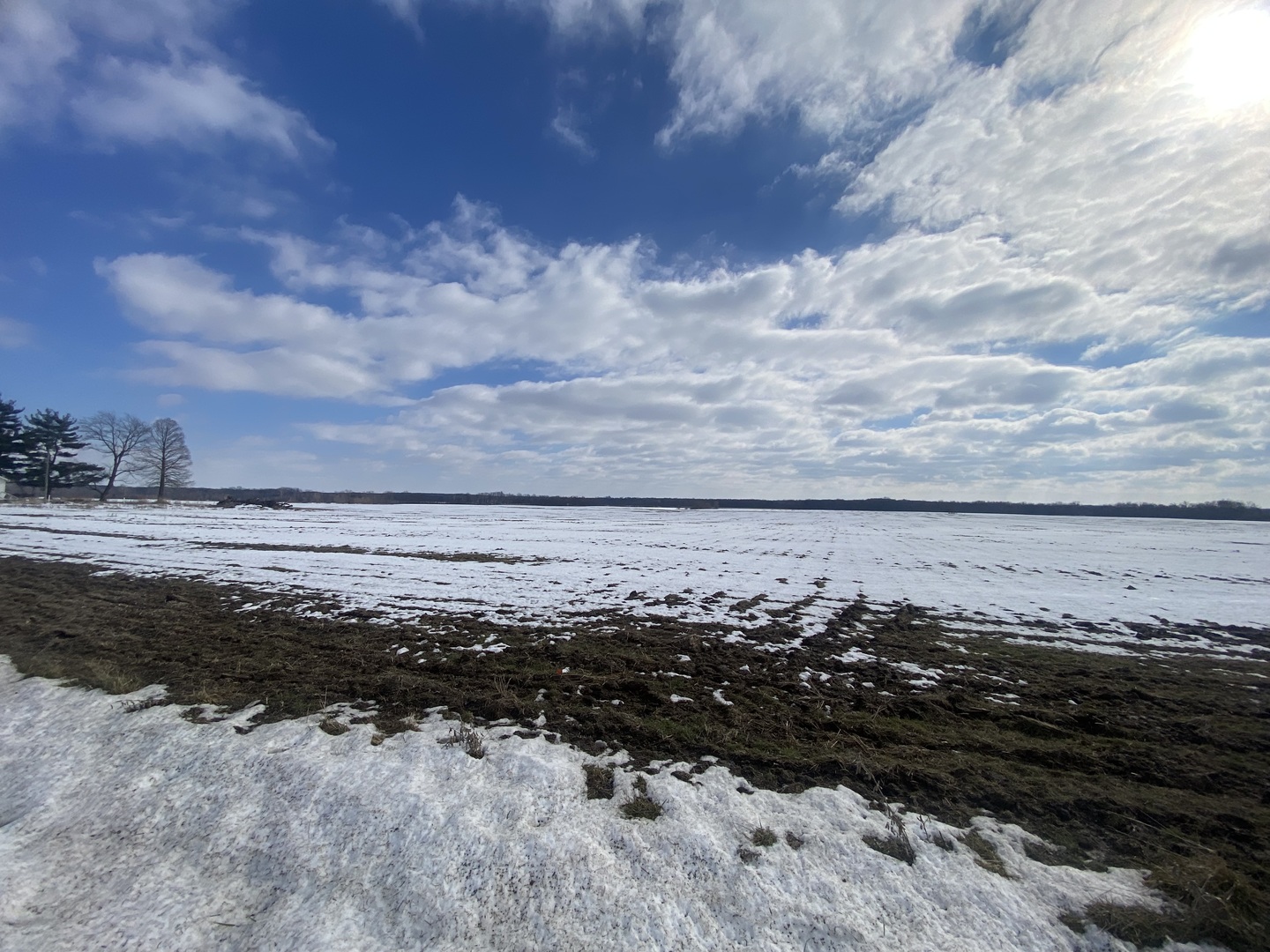 0 Four Mile Road West Frankfort, IL 62896 - Photo 2 of 2