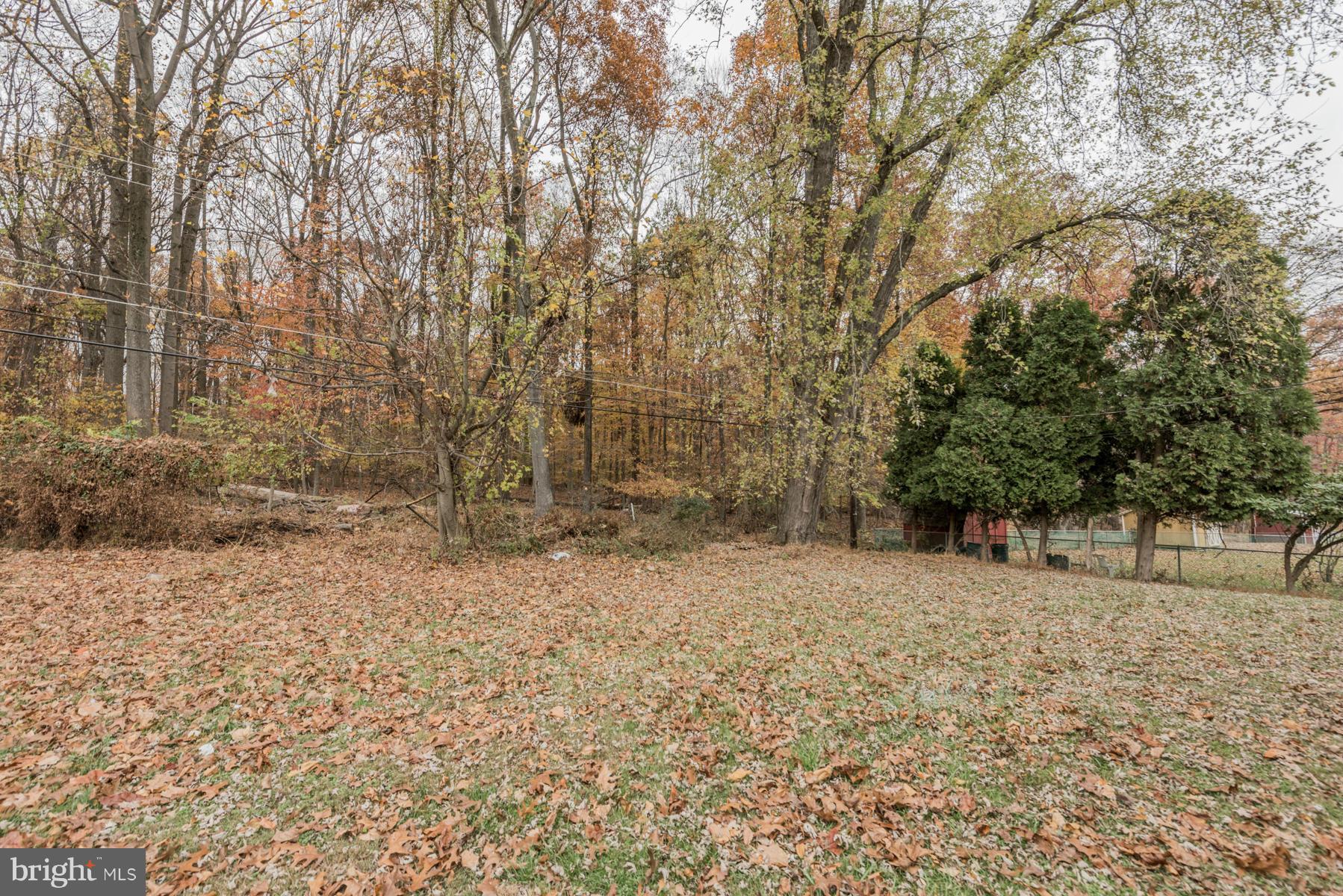 3812 Collier Road Randallstown, MD 21133 - Photo 27 of 27 a backyard of a house with lots of green space