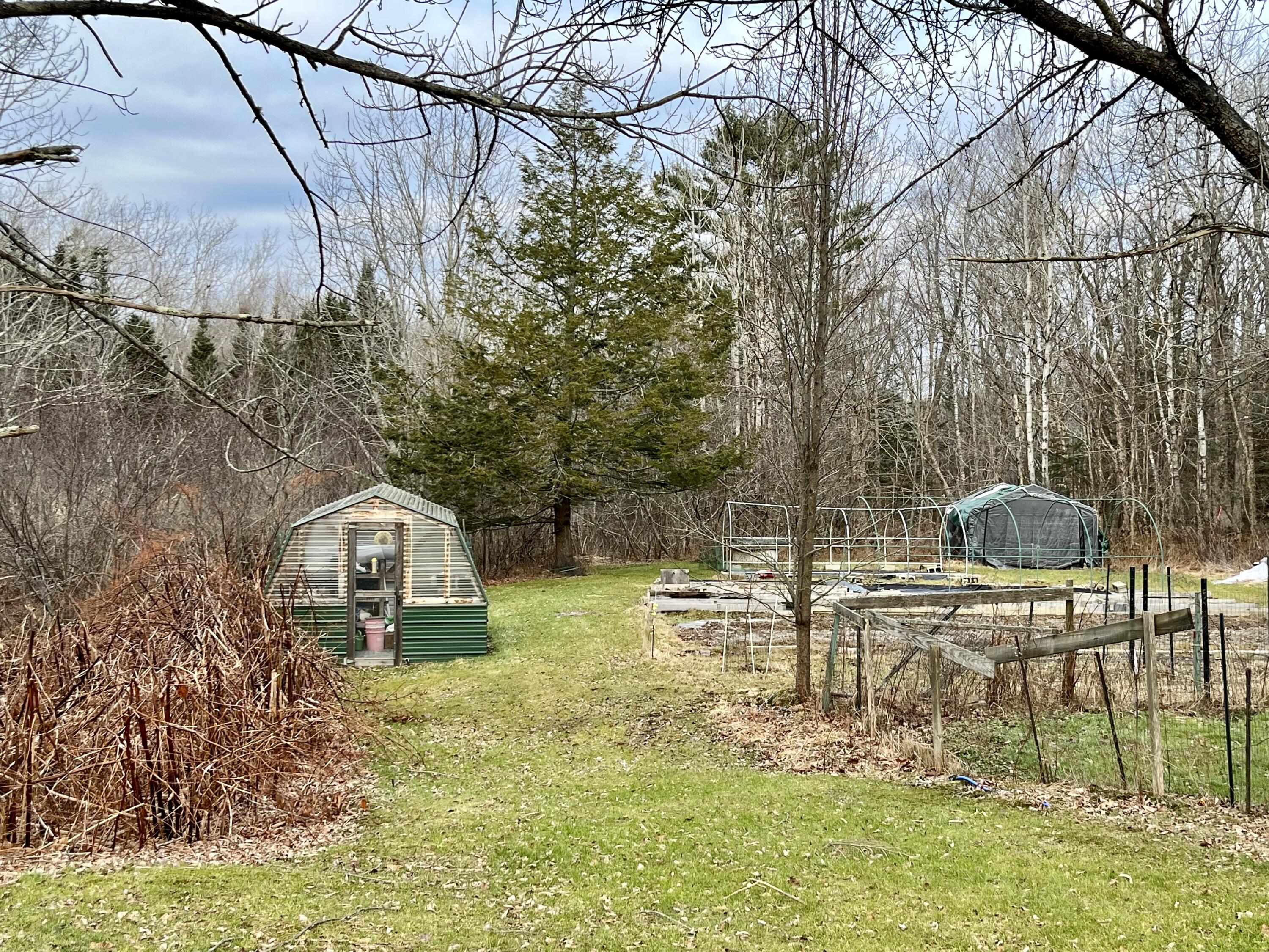 1009 Cape Rosier Road Brooksville, ME 04642 - Photo 29 of 34 1009 Backyard
