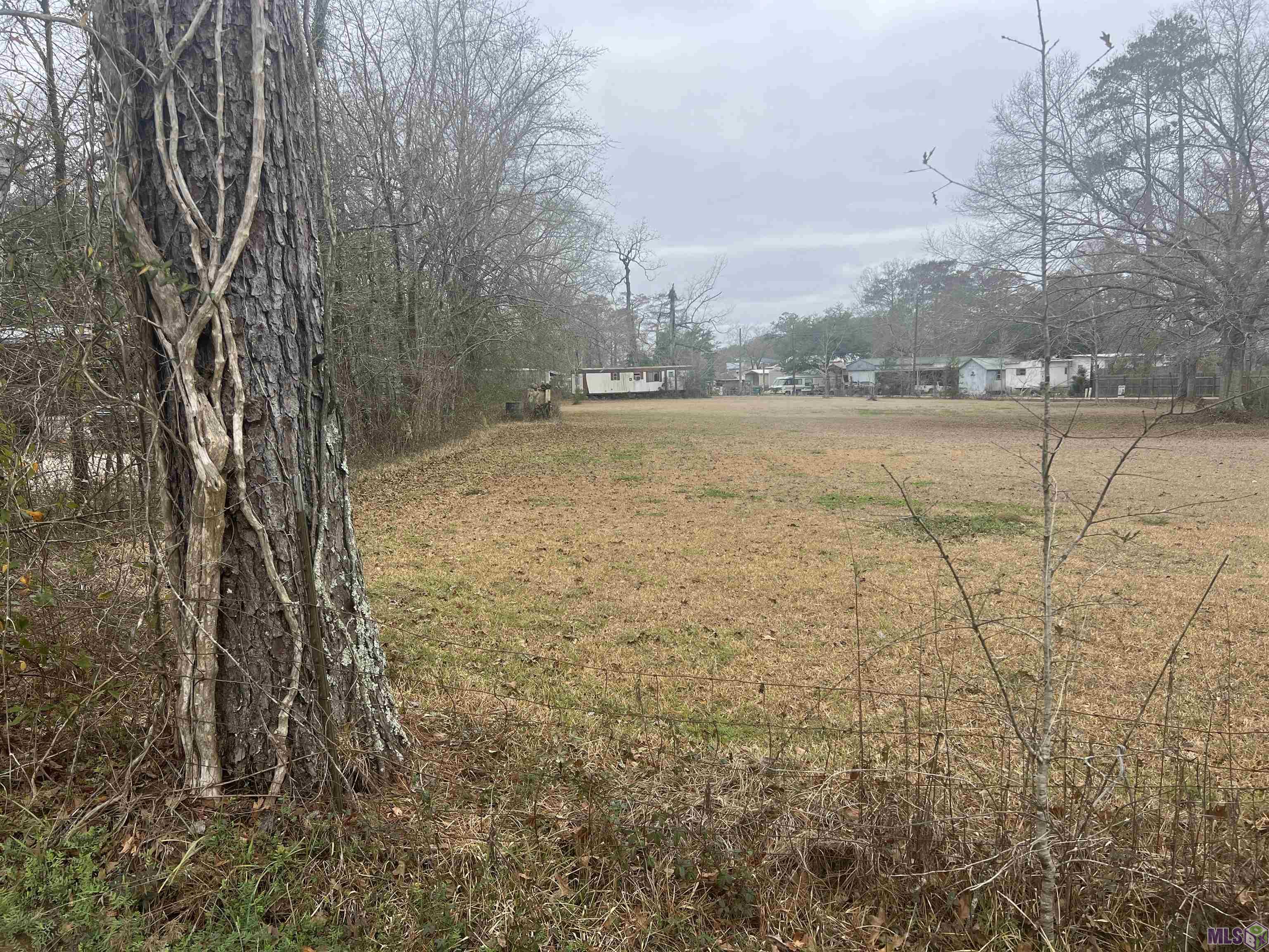 Tbd8 Wanda Drive Springfield, LA 70462 - Photo 1 of 2