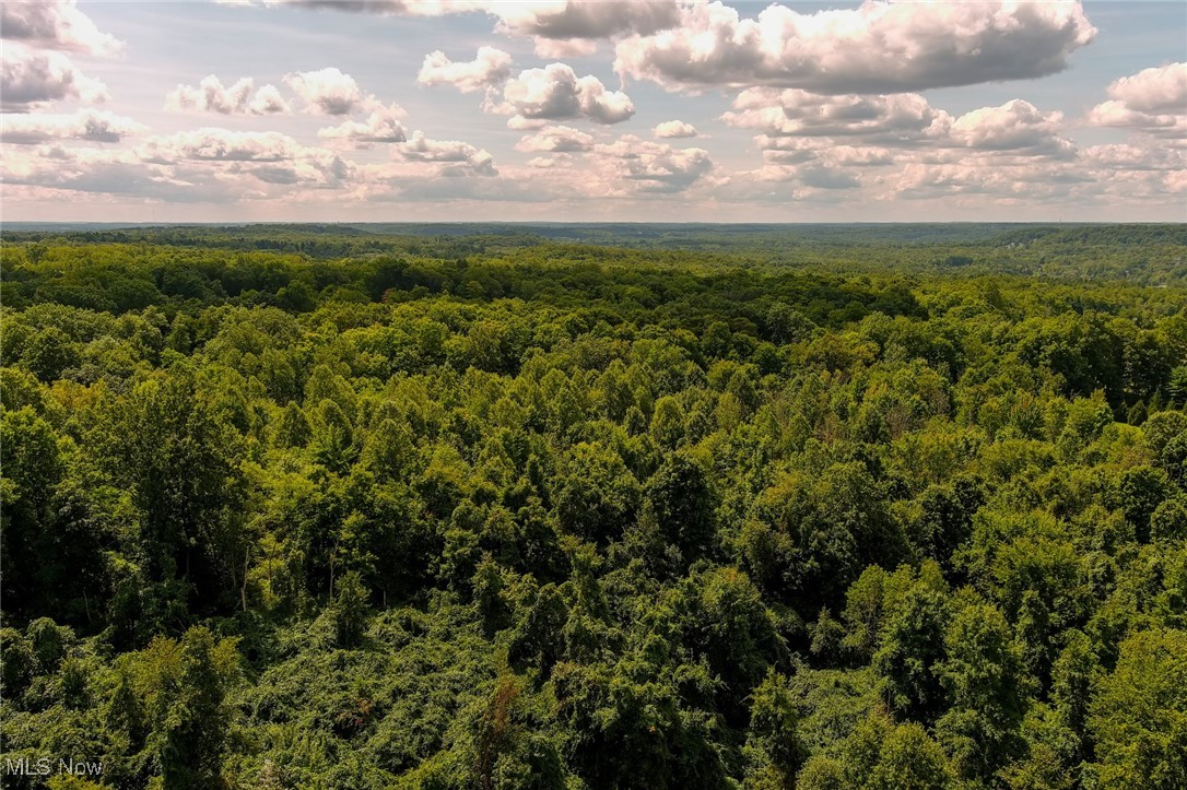 4950 West Streetsboro Road Richfield, OH 44286 - Photo 27 of 27 Birds eye view of property