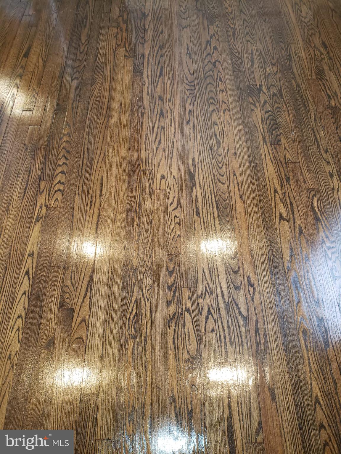 1250 Simms Place Northeast, Unit 4 Washington, DC 20002 - Photo 3 of 27