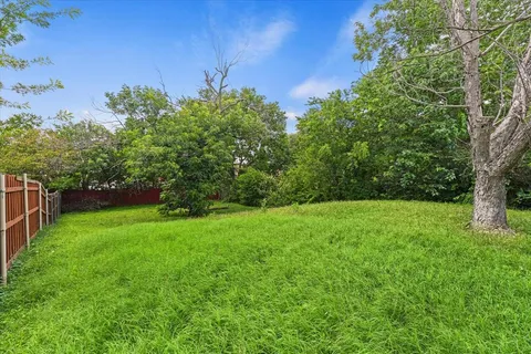 a view of a yard with a tree