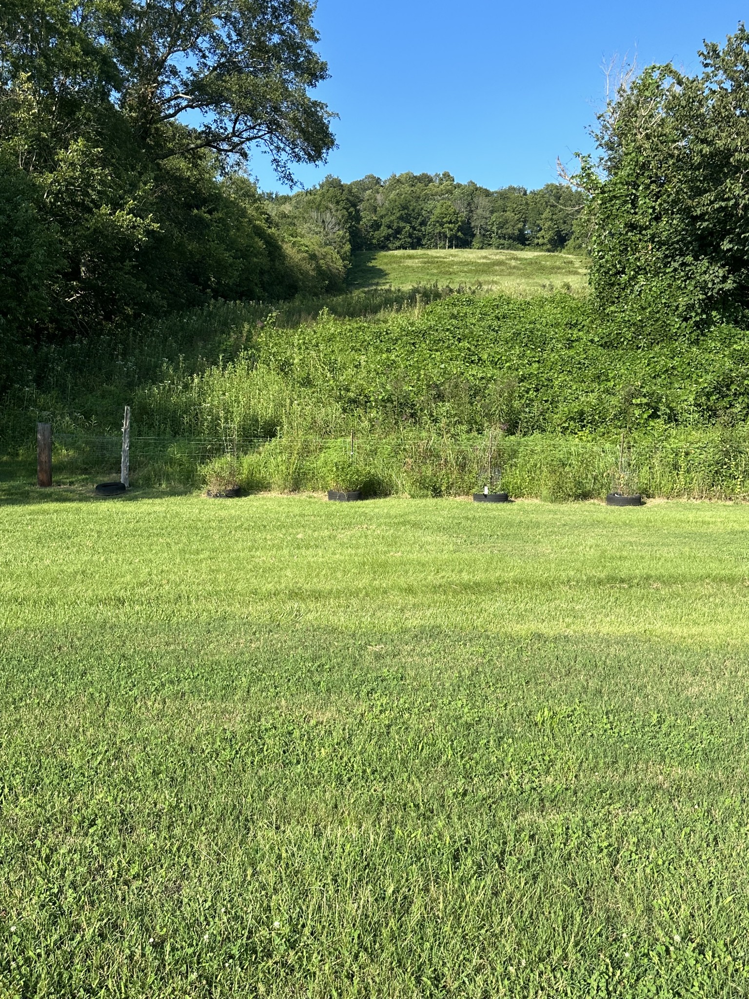 1018 Salt Lick Creek Road Pleasant Shade, TN 37145 - Photo 10 of 27 Gallery Image 10