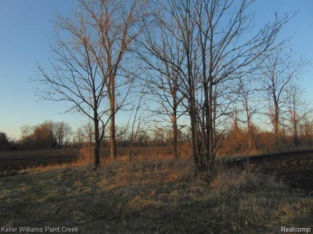 73636 McKay Road Romeo, MI 48065 - Photo 16 of 22
