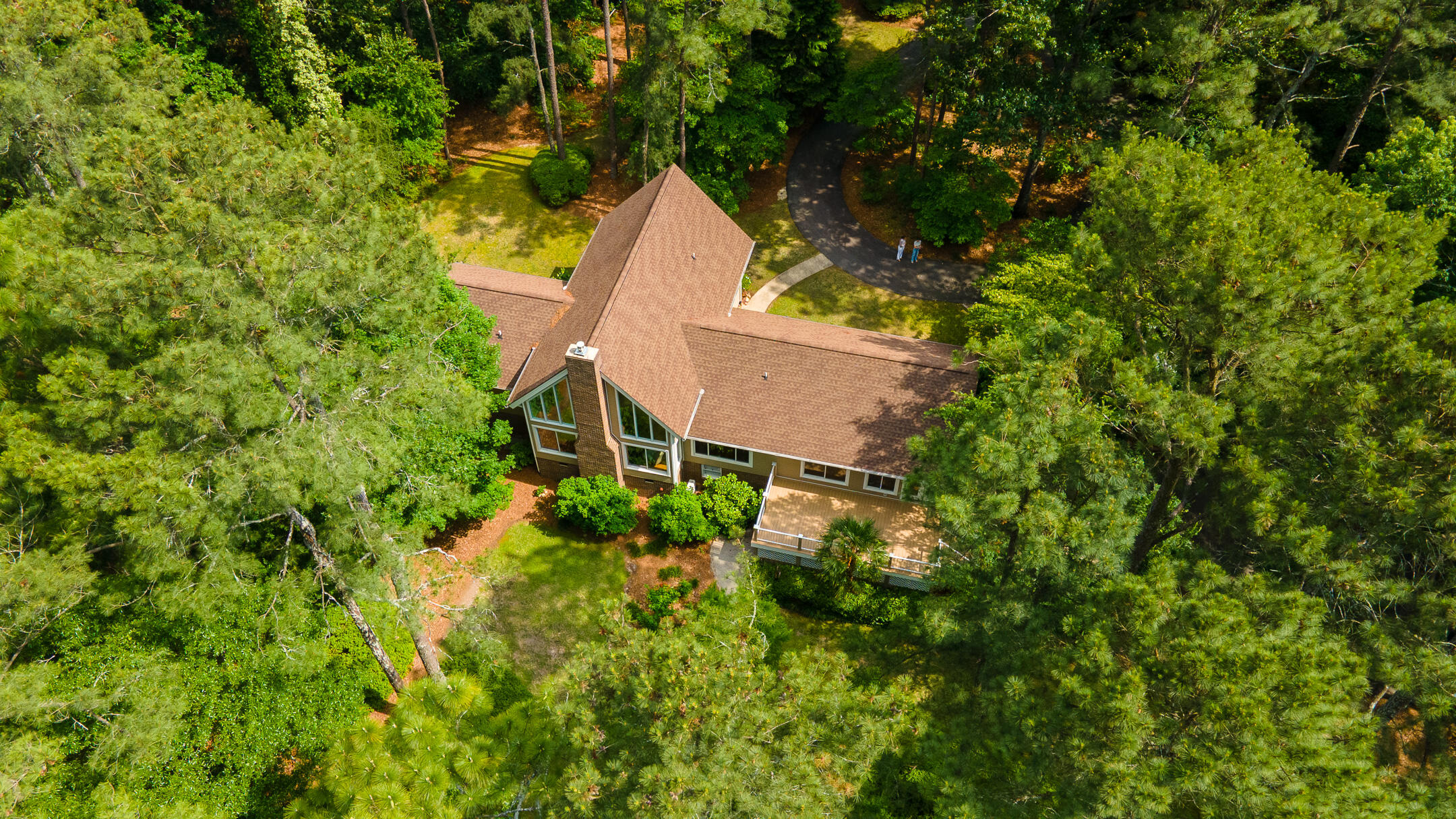 1049 Edisto Lake Road Wagener, SC 29164 - Photo 3 of 96