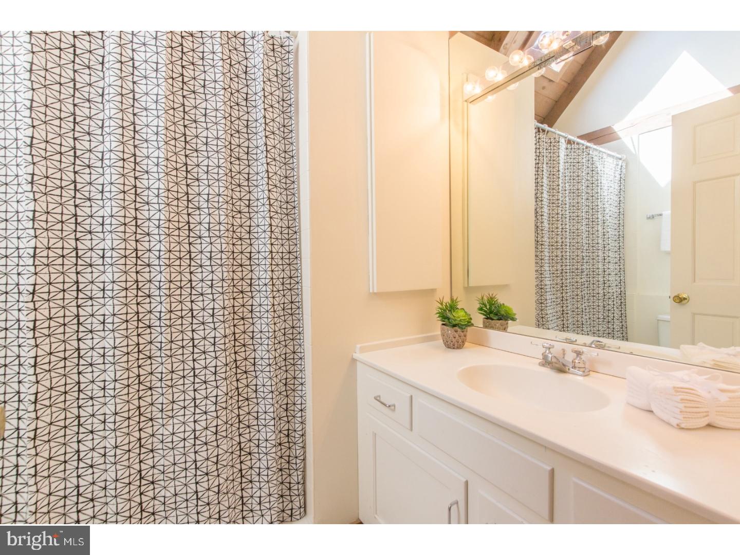 100 Province Line Road Skillman, NJ 08558 - Photo 11 of 22 Bathroom