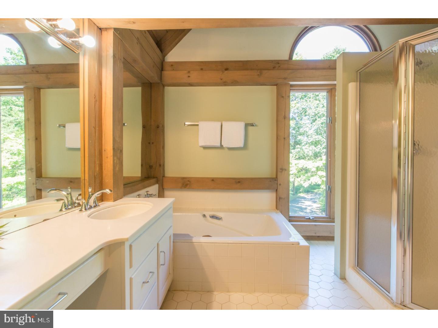 100 Province Line Road Skillman, NJ 08558 - Photo 9 of 22 Master Bathroom