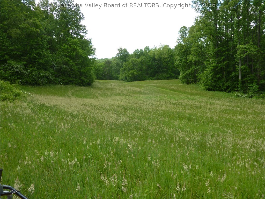8595 Kentuck Road Kenna, WV 25248 - Photo 2 of 4 Gallery Image 2