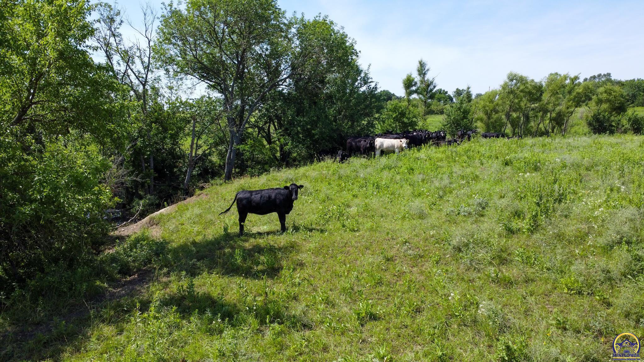 2823 Rd L Emporia, KS 66801 - Photo 10 of 27