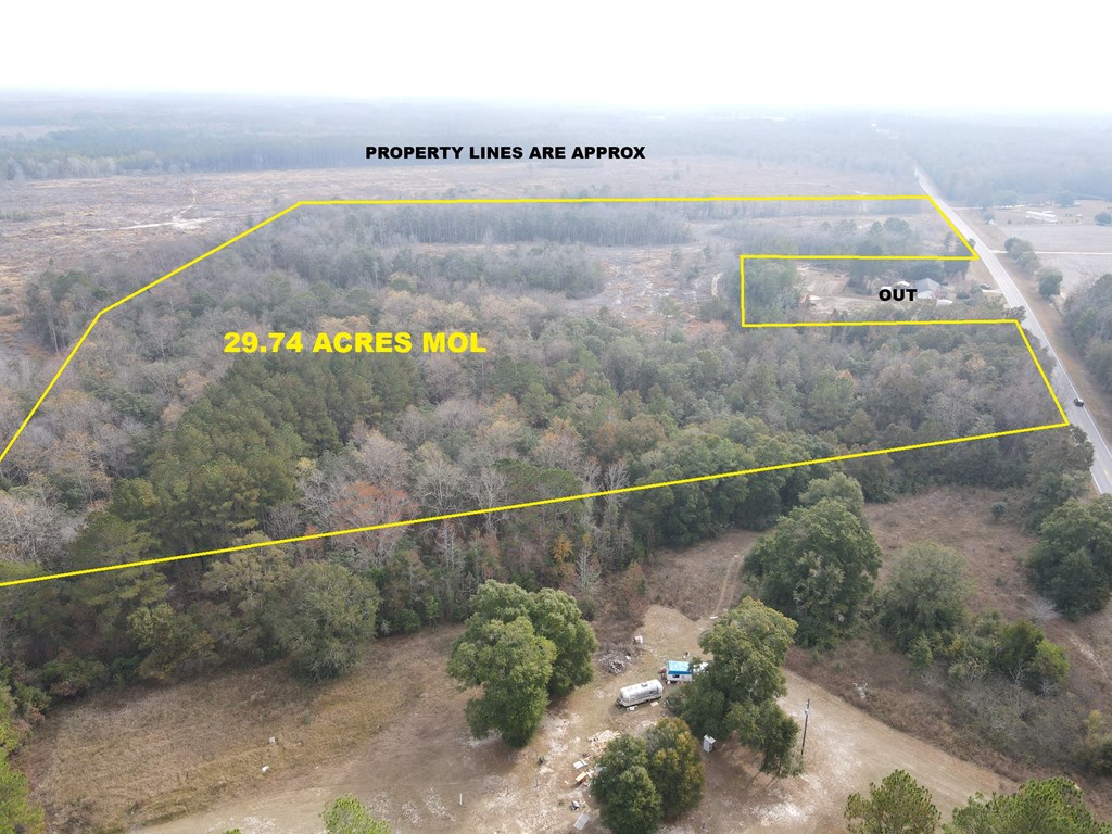 87 Highway 87 Samson, AL 36477 - Photo 8 of 47