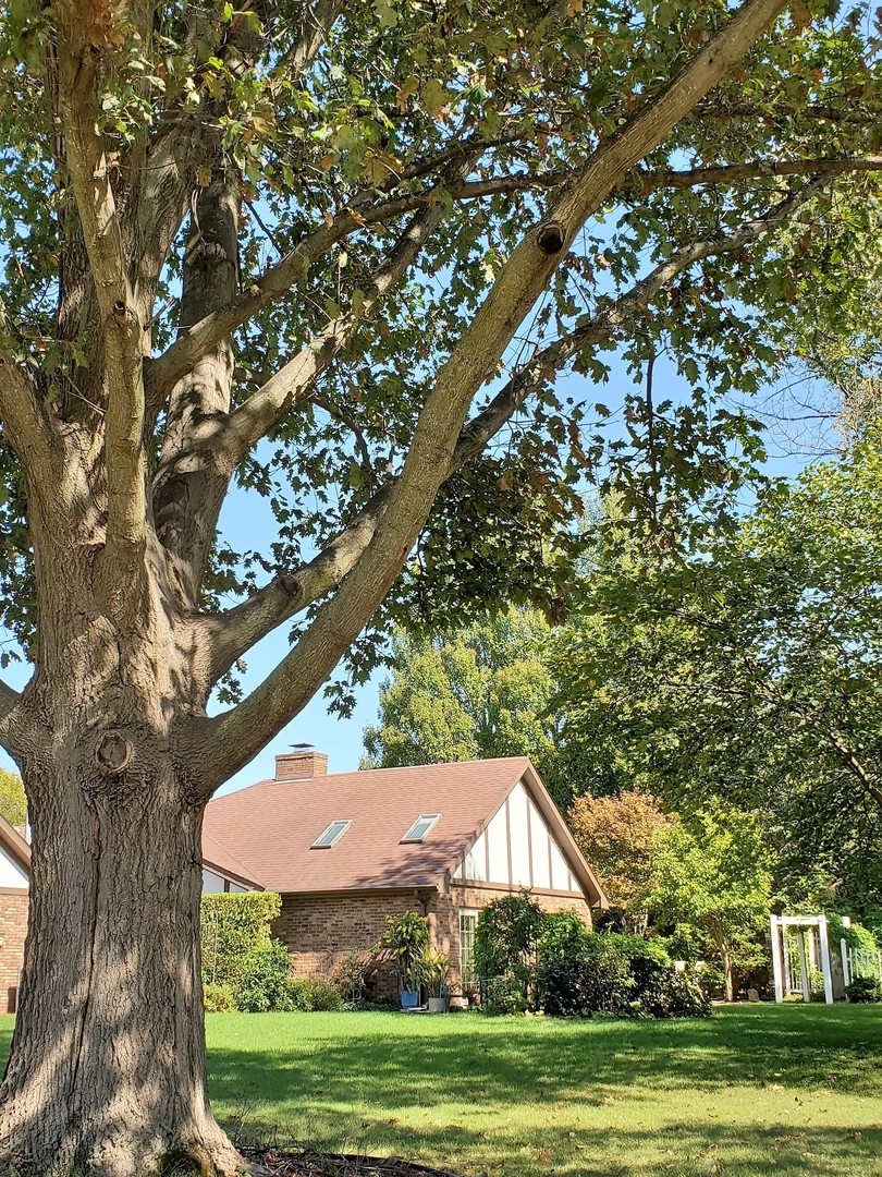 1013 Galen Drive Champaign, IL 61821 - Photo 31 of 68 a backyard of a house with lots of green space and fountain