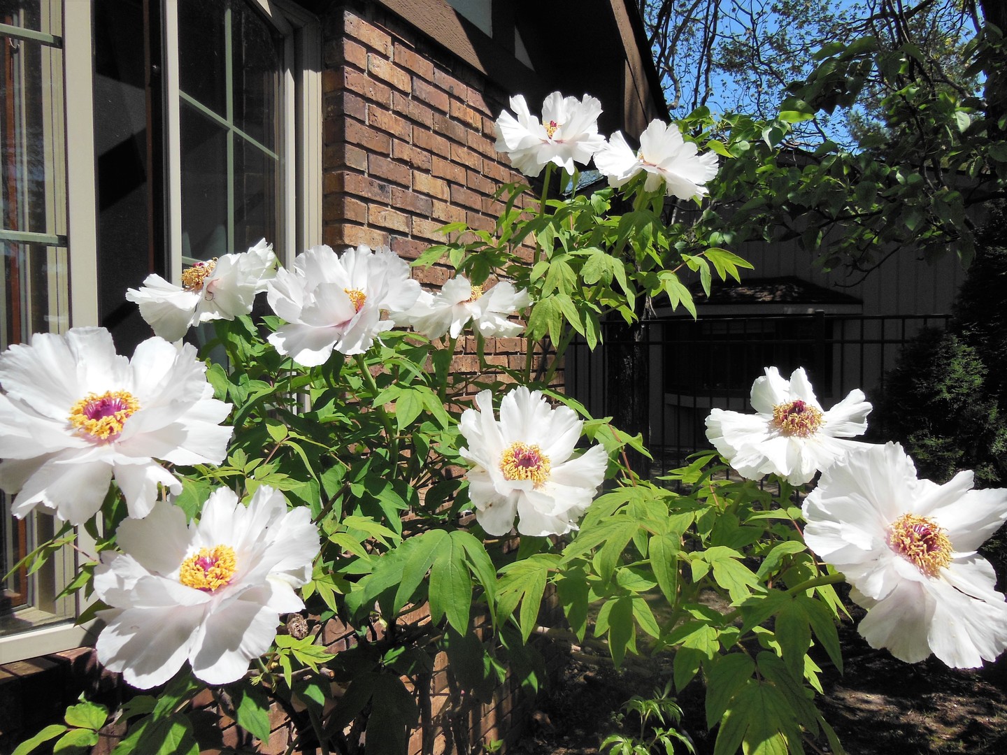 1013 Galen Drive Champaign, IL 61821 - Photo 34 of 68