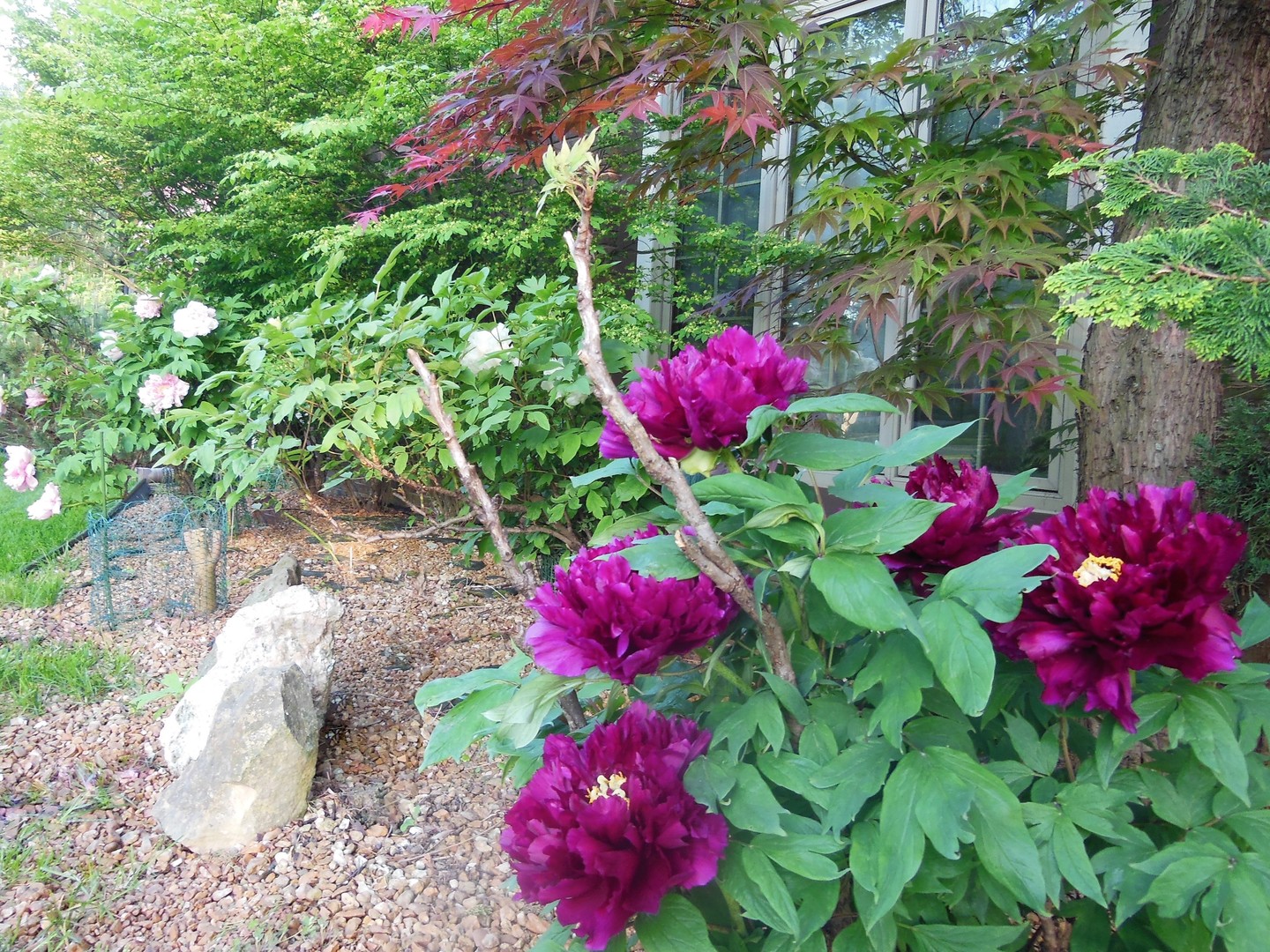 1013 Galen Drive Champaign, IL 61821 - Photo 36 of 68