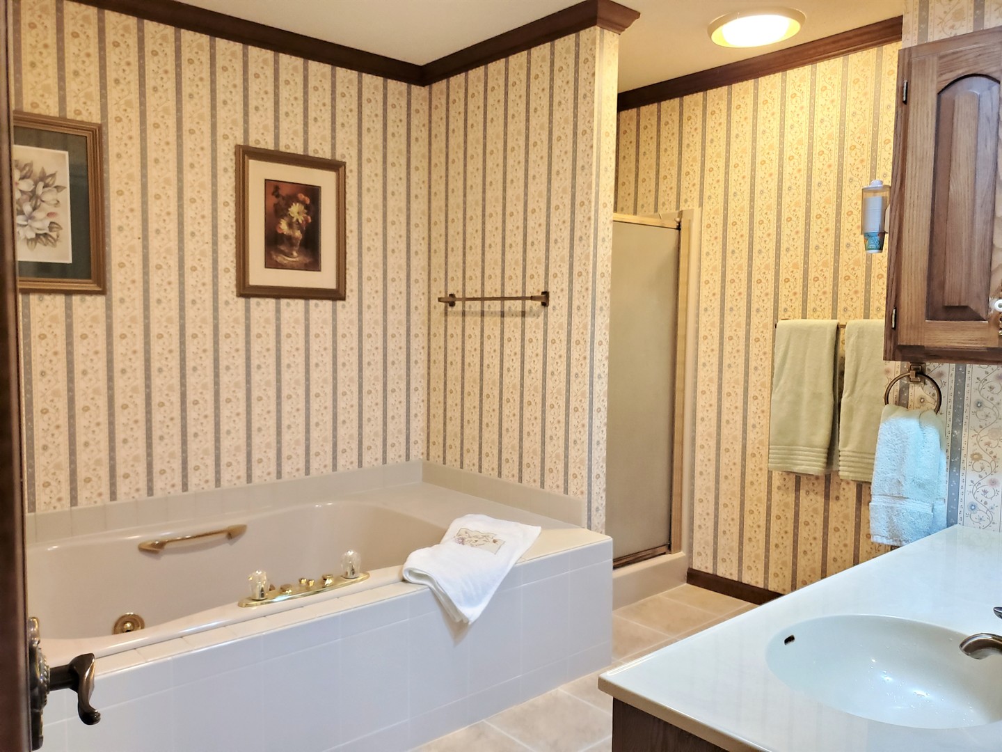 1013 Galen Drive Champaign, IL 61821 - Photo 42 of 68 a bathroom with a bathtub and a shower