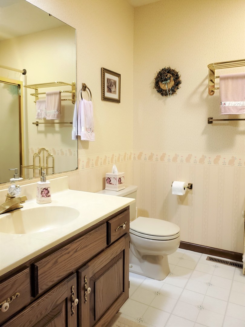 1013 Galen Drive Champaign, IL 61821 - Photo 45 of 68 a bathroom with a sink and a toilet