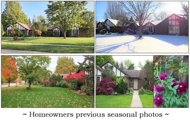 1013 Galen Drive Champaign, IL 61821 - Photo 51 of 68 a view of a garden and statue