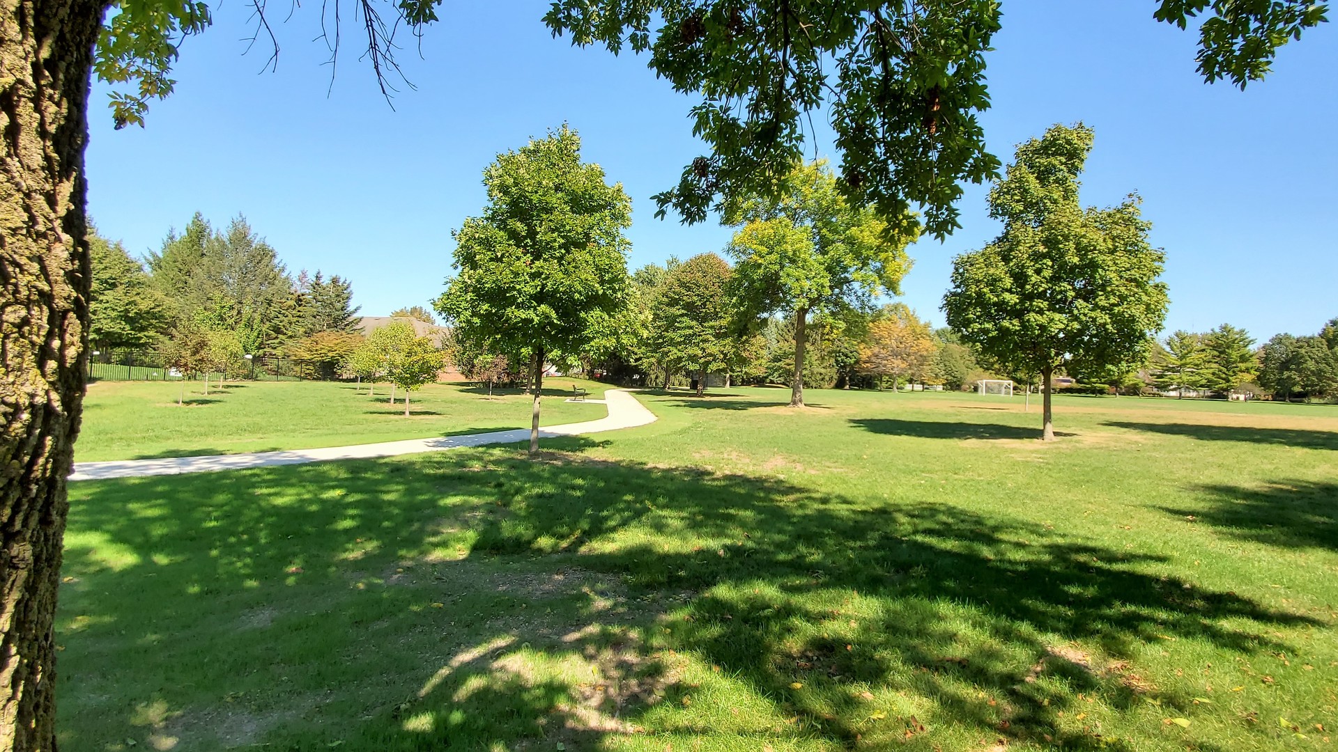 1013 Galen Drive Champaign, IL 61821 - Photo 56 of 68 a view of yard with green space