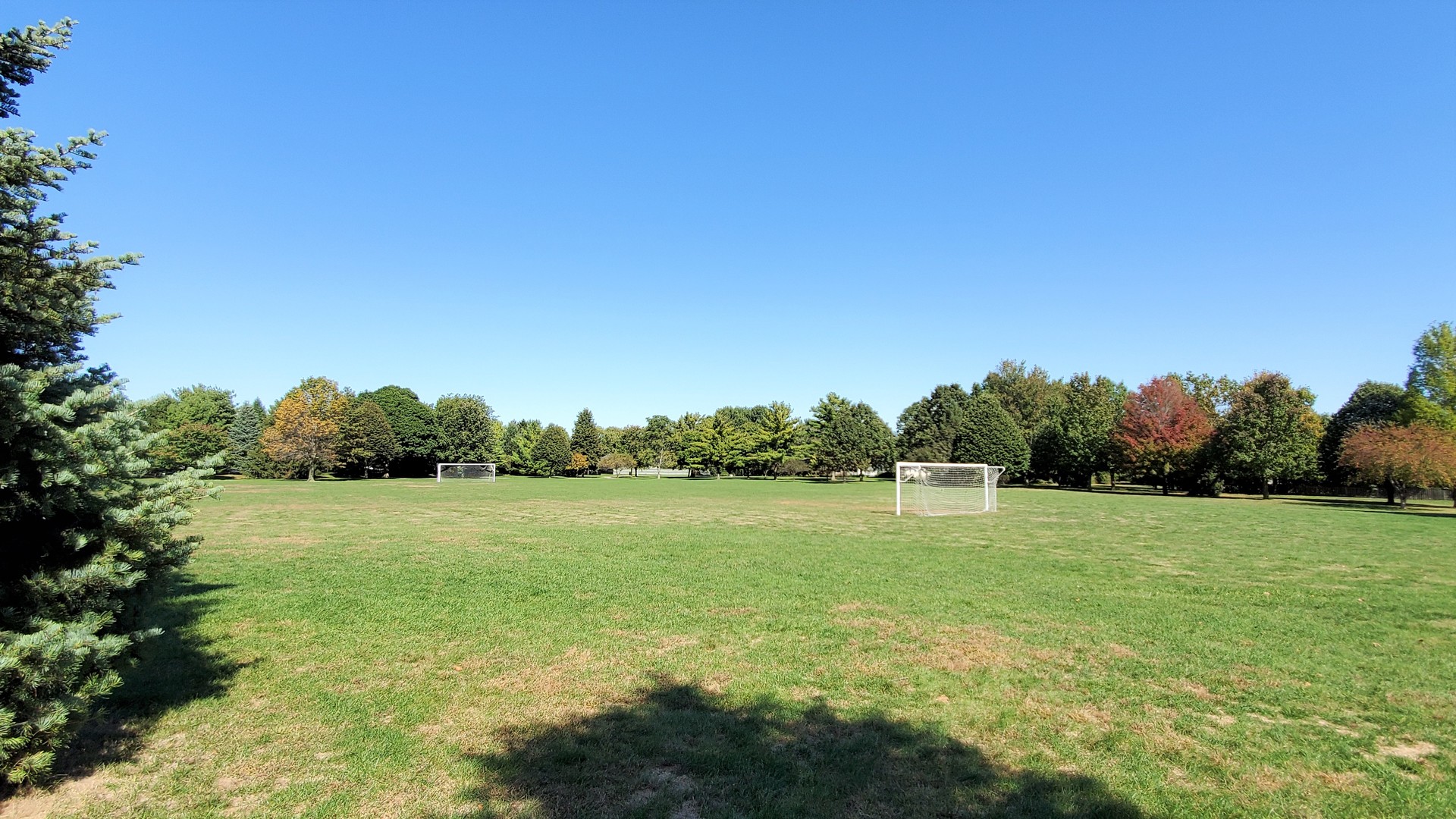 1013 Galen Drive Champaign, IL 61821 - Photo 57 of 68 a view of field with tall trees