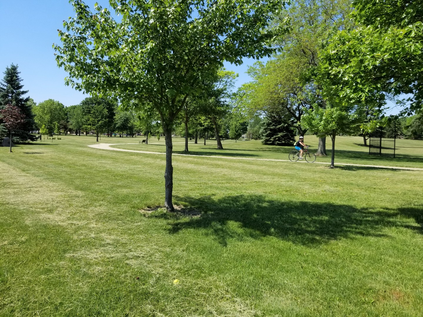 1013 Galen Drive Champaign, IL 61821 - Photo 63 of 68