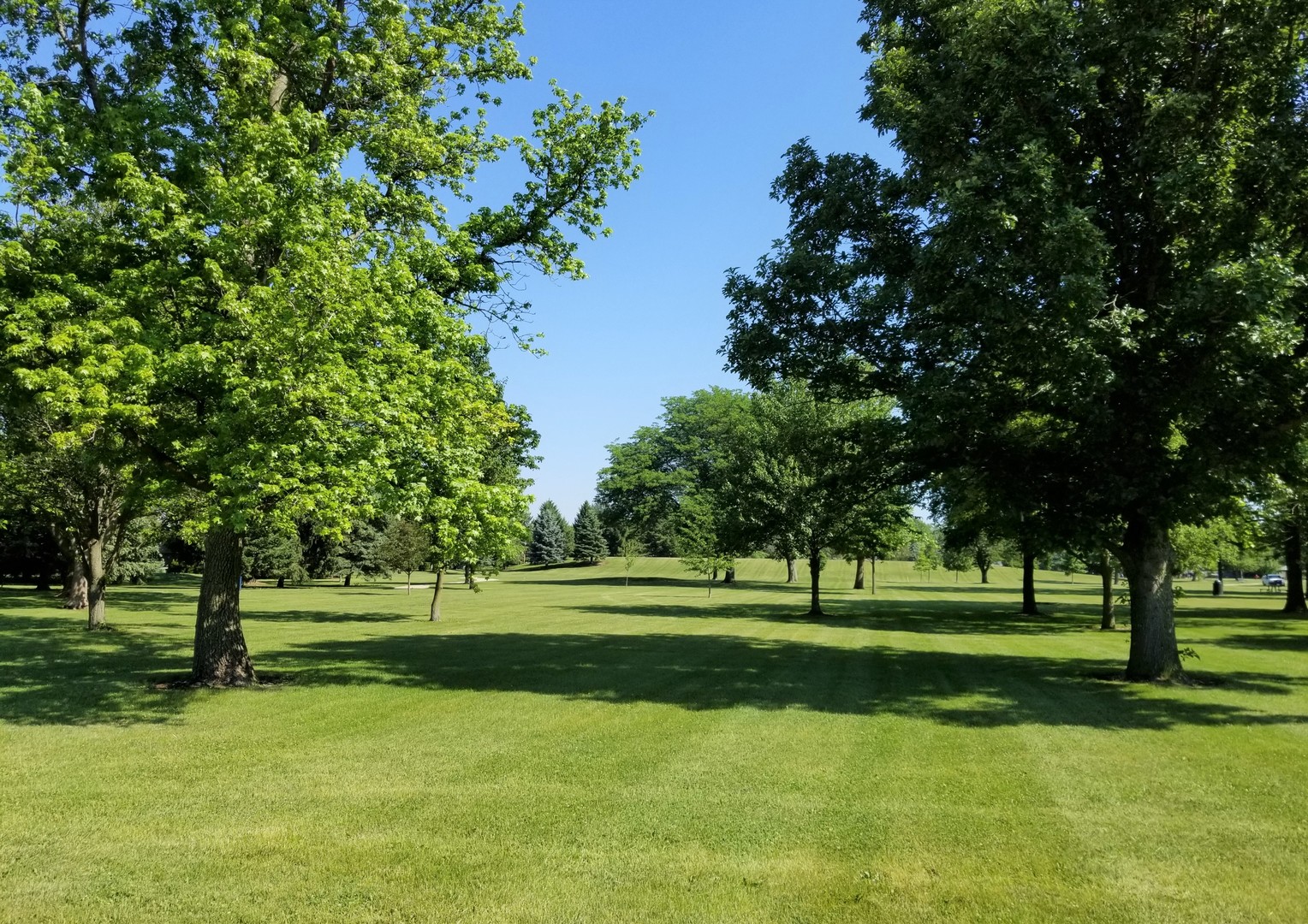1013 Galen Drive Champaign, IL 61821 - Photo 67 of 68 a view of a kids park