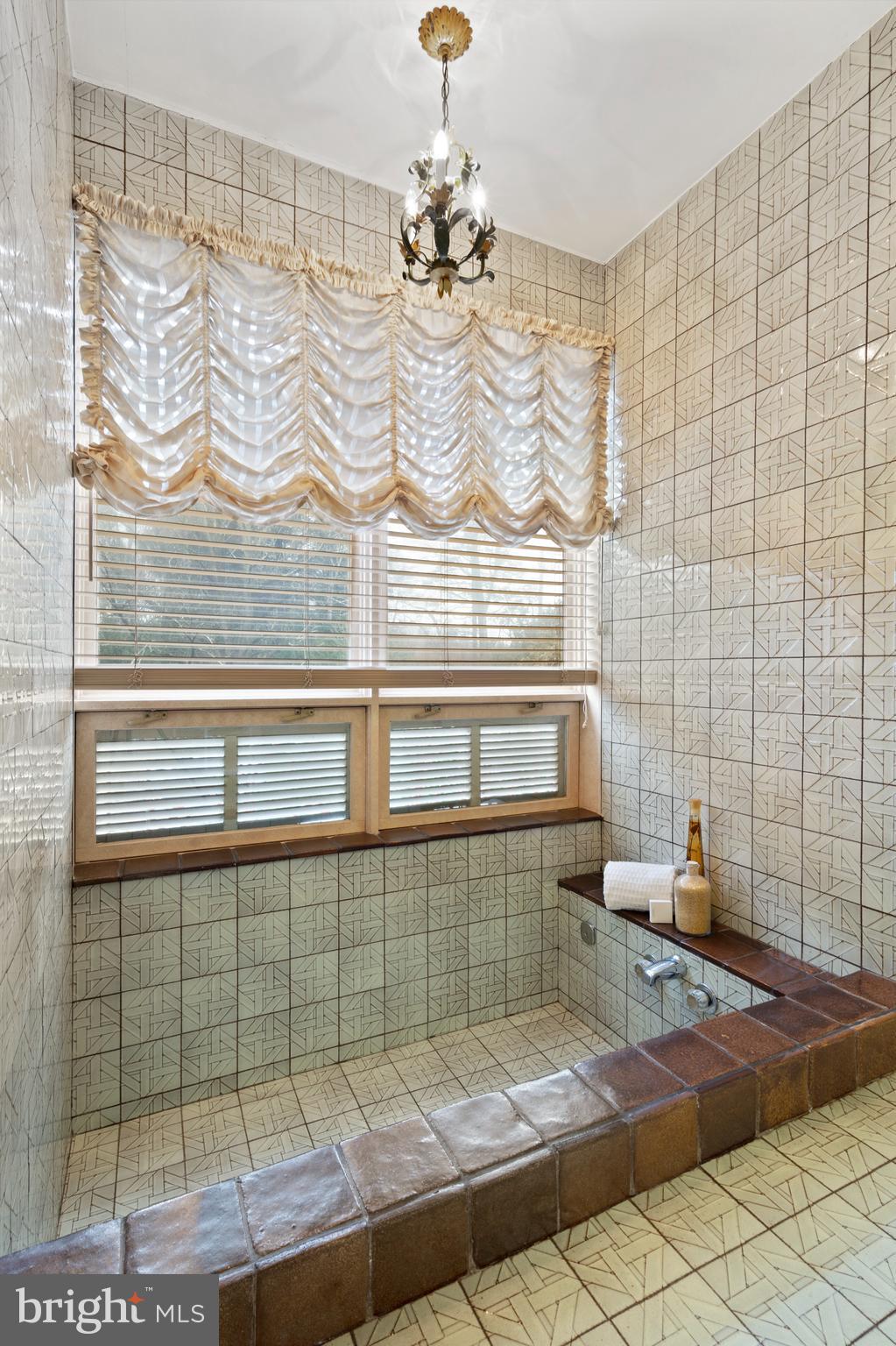 1101 Mill Road Jenkintown, PA 19046 - Photo 21 of 37 Primary Bath