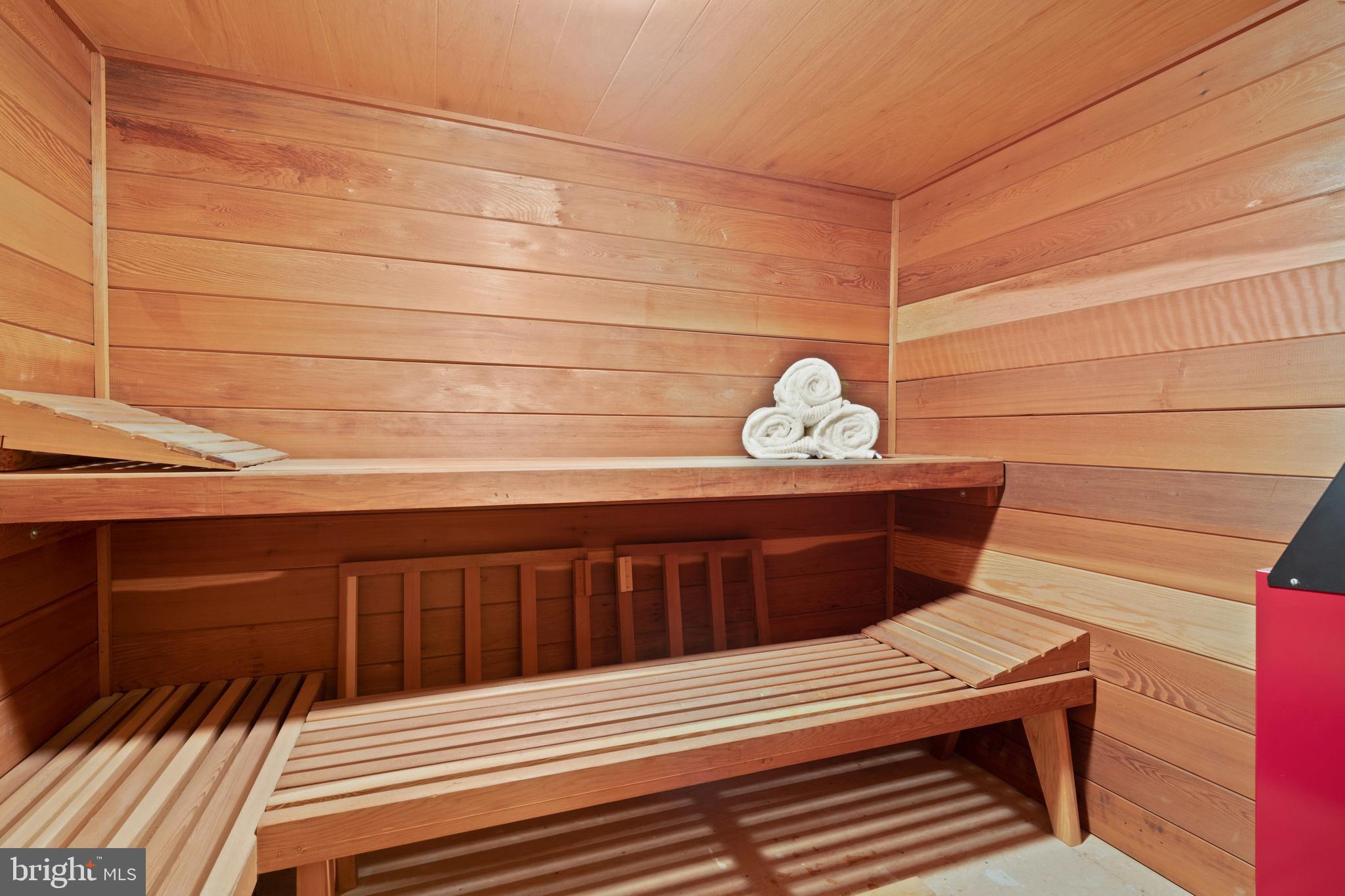1101 Mill Road Jenkintown, PA 19046 - Photo 24 of 37 Sauna