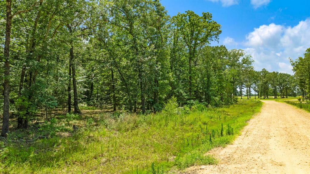 Lot 18 Private Road Paris, TX 75460 - Photo 16 of 22